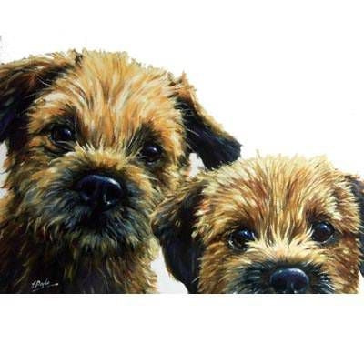 Dogs Borders Border Terrier Blank Greeting Cards