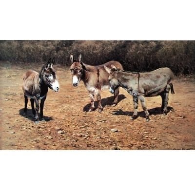 Donkey Serenade By Frank Wright 9.75 x 5.5