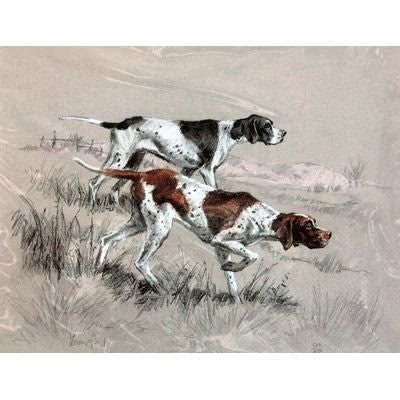 English Pointers Matted 12.75 x 10.75