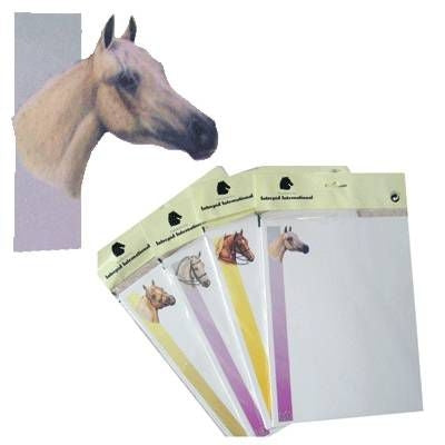 Equine Printer Paper Arabian