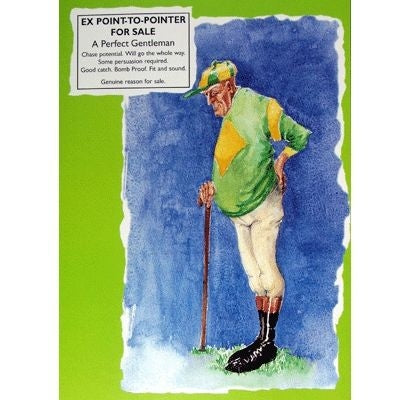Point to Pointer Blank Greeting Cards - 6 Pk 5 x 7