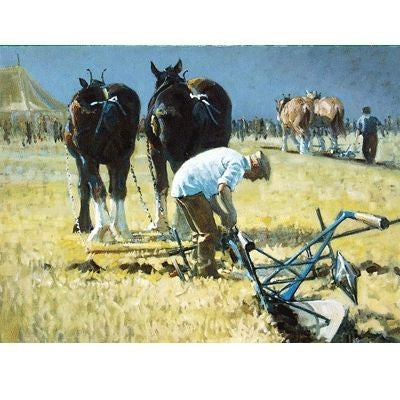 Draft Horse Blank Greeting Cards - 6 Pack 5 x 7
