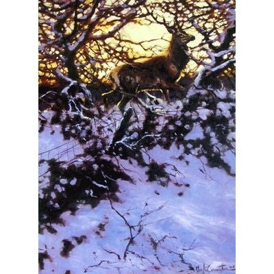 First Light Deer Blank Greeting Cards - 6 Pack 5x7