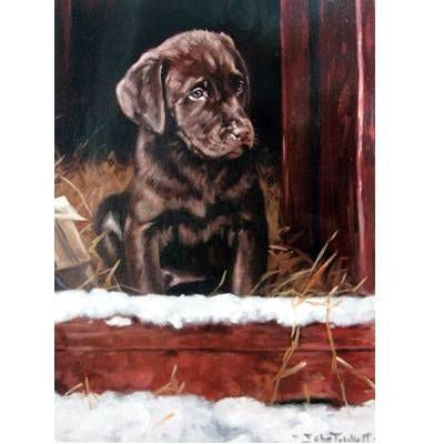 First Winter (Labrador Retriever) Blank Greeting C