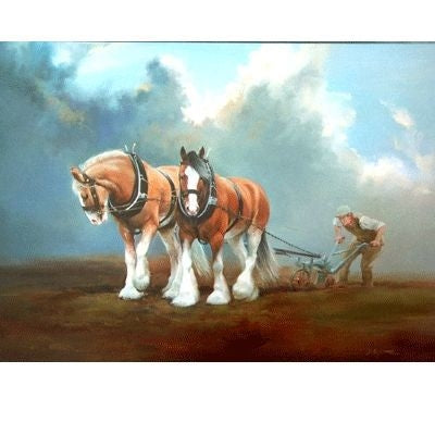 Fortitude Clydesdale Blank Cards 6 Pack 5 x 7