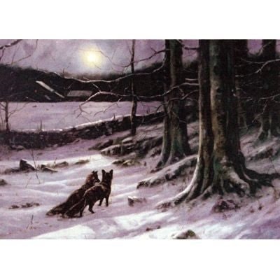 Fox Hunting Midnight Tryst Fox Cards 6 Pk 5 x 7