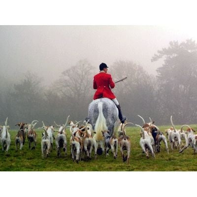 Foxhunting Blank Greeting Cards - 6 Pack 5 x 7