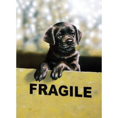 Labrador Retriever Blank Greeting Cards-6 Pk 5 x 7