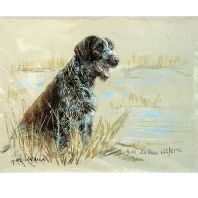 German Wirehair Pointer Matted 12.75 x 10.75