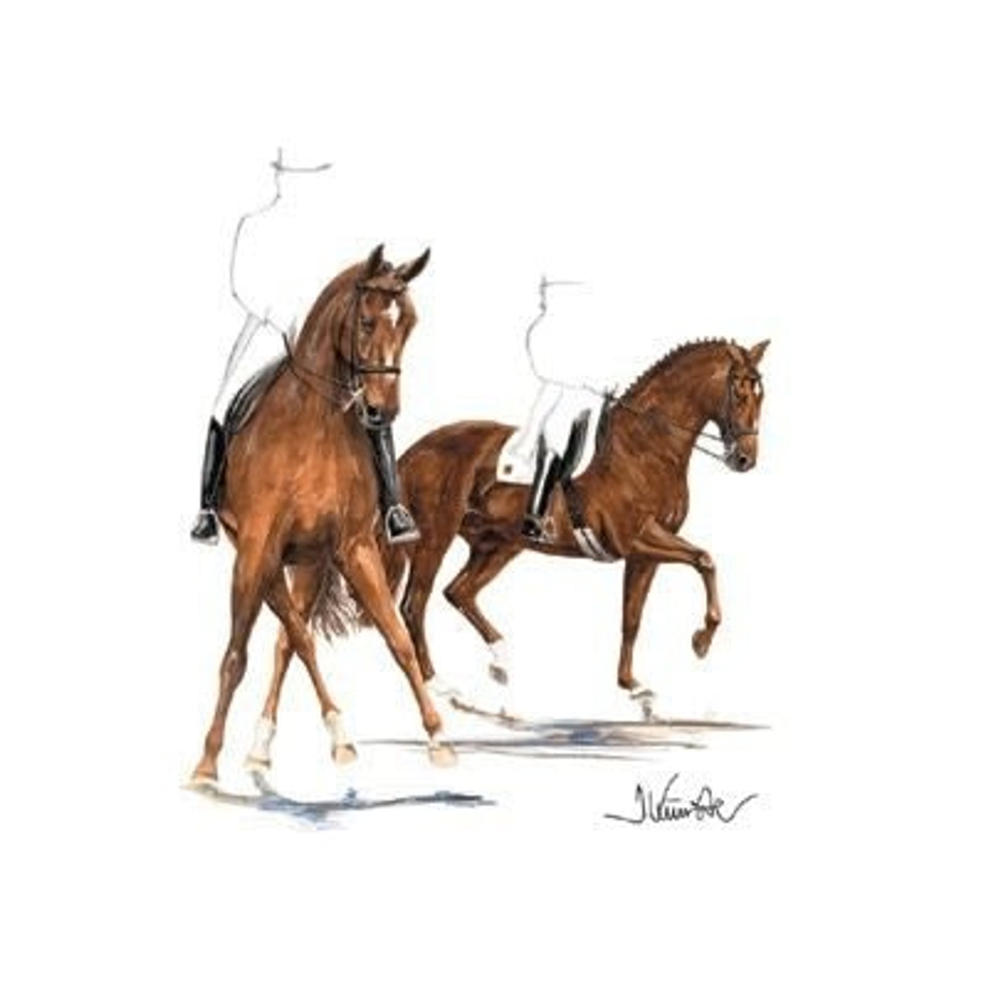 Gigolo Dressage By Jan Kunster 19.75 x 27.5