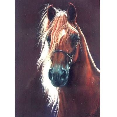 Gilt Edged Blank Greeting Cards - 6 Pack 5" x 7"