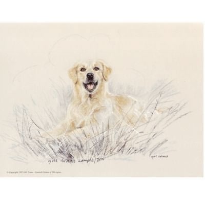 Golden By Gill Evans 12.75 x 10.75
