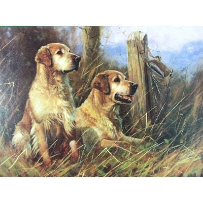 Golden Retrievers Blank Greeting Cards -6 Pk 5 x 7