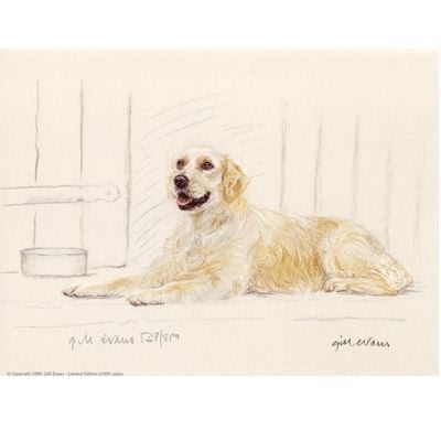 Golden Retriever By Gill Evans Matted 12.75x10.75