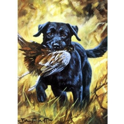 Labrador Retriever Blank Greeting Cards - 6 Pk 5x7