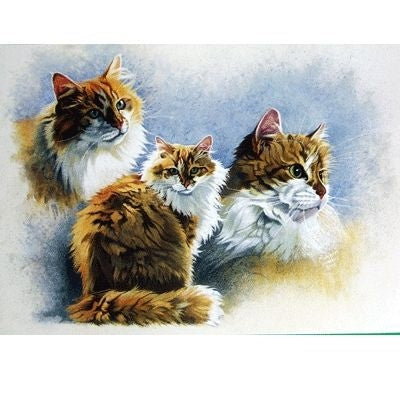 Grandmas Best Friend Blank Greeting Card-6 Pk 5 x7