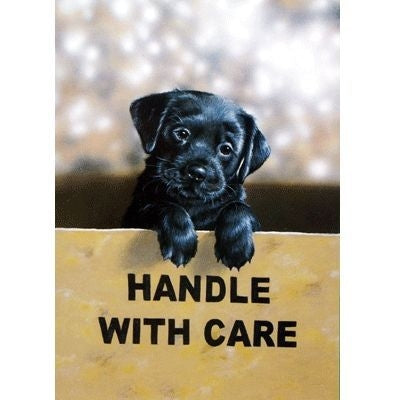 Labrador Retriever Blank Greeting Cards-6 Pk 5 x 7