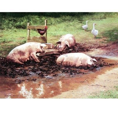 Happy as a Pig Blank Greeting Cards - 6 Pack 5 x 7