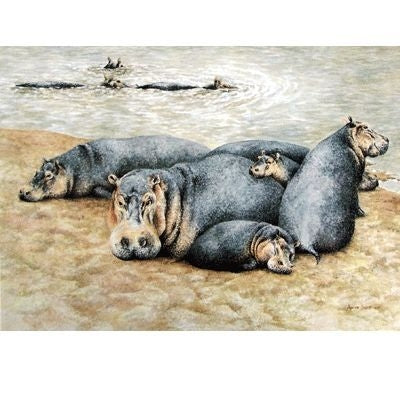 Happy Hippos Blank Greeting Cards - 6 Pack 5 x 7