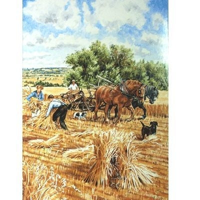 Harvesting Blank Greeting Cards - 6 Pack 5 x 7