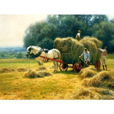 Hay Making Blank Greeting Cards 6 Pack 5 x 7