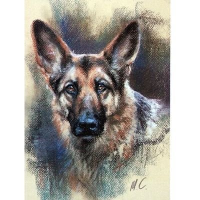 Head of German Shepherd By Mick Cawston 53/8x7.5