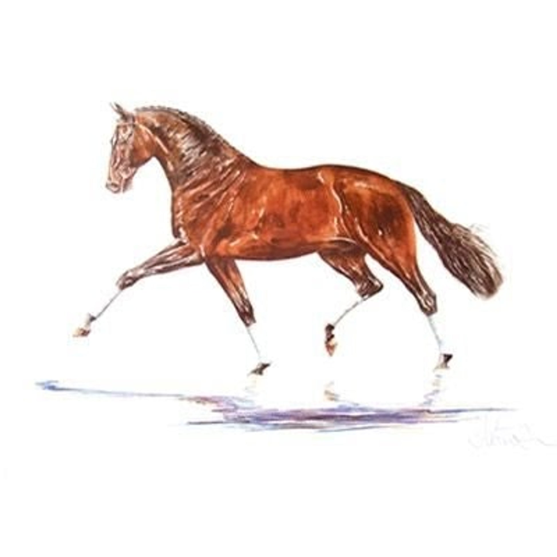 Hengst Dressage By Jan Kunster 19.75 x 27.5