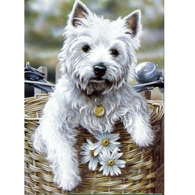 West Highland Terrier Blank Greeting Card-6 Pk 5x7
