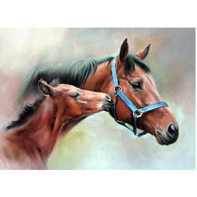 Blue Head Collar Blank Greeting Cards - 6 Pk 5 x 7