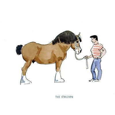Stallion Blank Greeting Cards - 6 Pack 5 x 7
