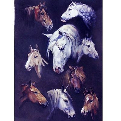 Horses Blank Greeting Cards - 6 Pack 5 x 7