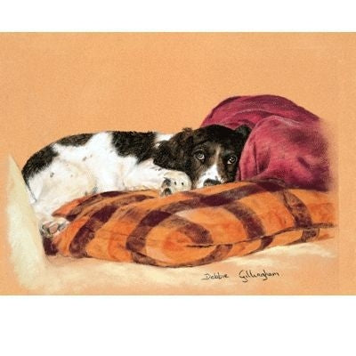 I Didnt Mean It By Debbie Gillingham 8x5.5