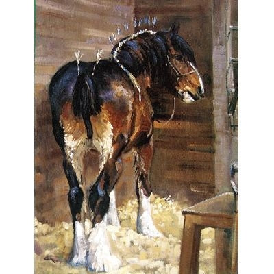 In Make Up Draft Horse Greeting Cards 6pk 5x7