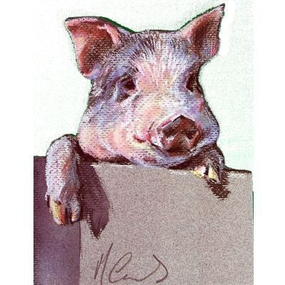 Inquisitive Pig Blank Cards - 6 Pk 5x7