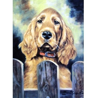 Irish Eyes Cocker Spaniel Blank Cards - 6 Pk 5x7