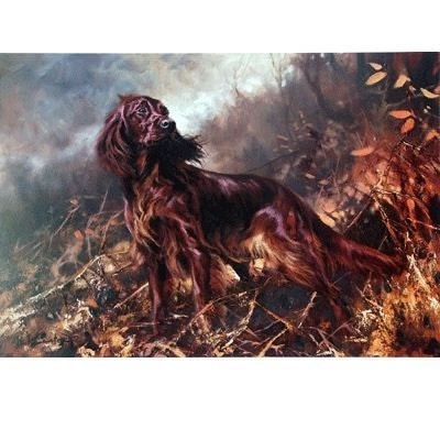 Irish Setter By Mick Cawston 14x9.5
