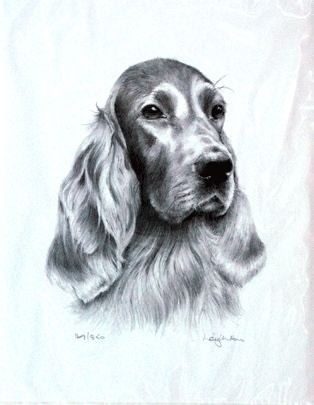 Irish Setter By Sra Leighton 10.75x12.75