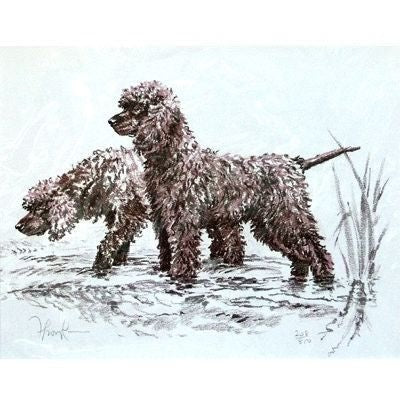 Irish Water Spaniel D Thompson 123/4inx103/4in