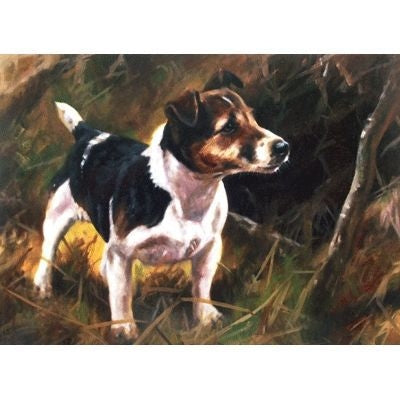 Jack Jack Russell Blank Cards - 6 Pk 5x7