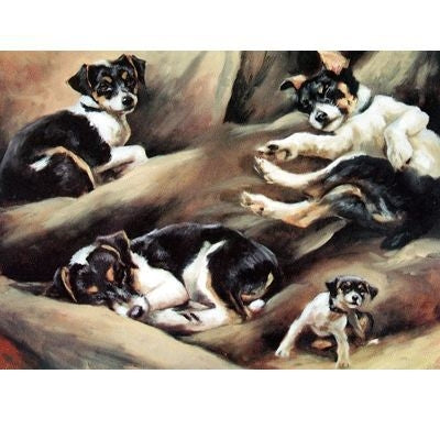 Just Getting Comfortable Jack Russell Cards6Pk 5x7