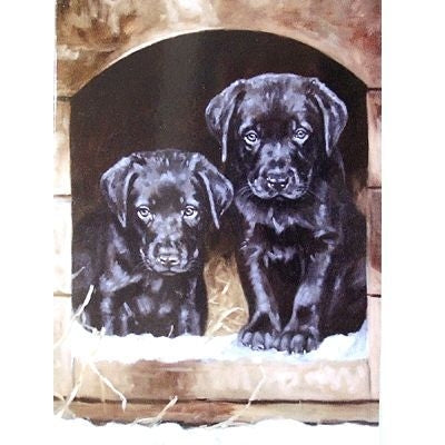 Just Looking Labrador Retievers Blank Cards6Pk 5x7