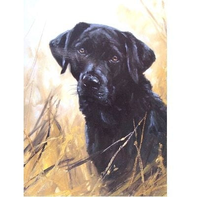 Kindness Labrador Retriever Blank Cards - 6 Pk 5x7