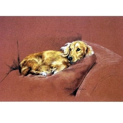 Lady of Leisure By Debbie Gillingham 8x5.5