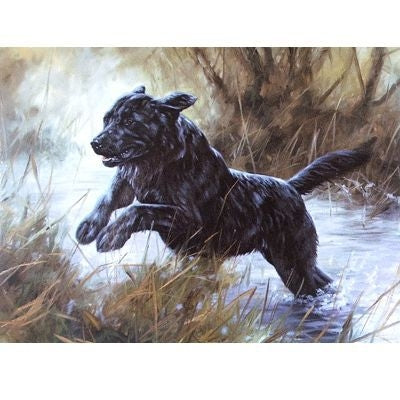 Leap for Joy Labrador Retriever Blank Cards-6 5x7
