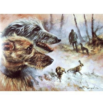 Lurchers Blank Cards - 6 Pack 5x7