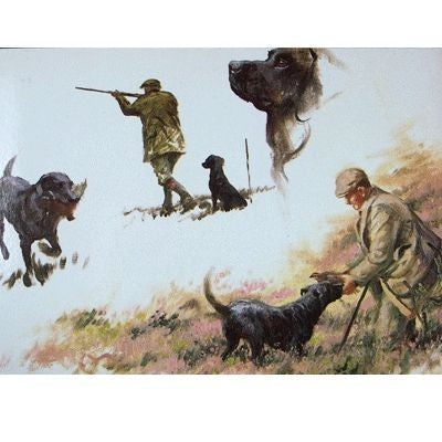 Mans Best Friend Labrador Retrievers Cards-6Pk 5x7