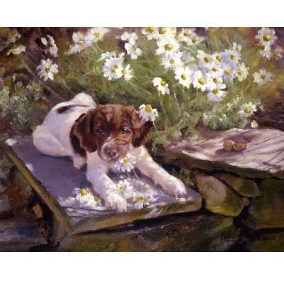 Mines a Margarita By Elizabeth Scrivener 12x9.5