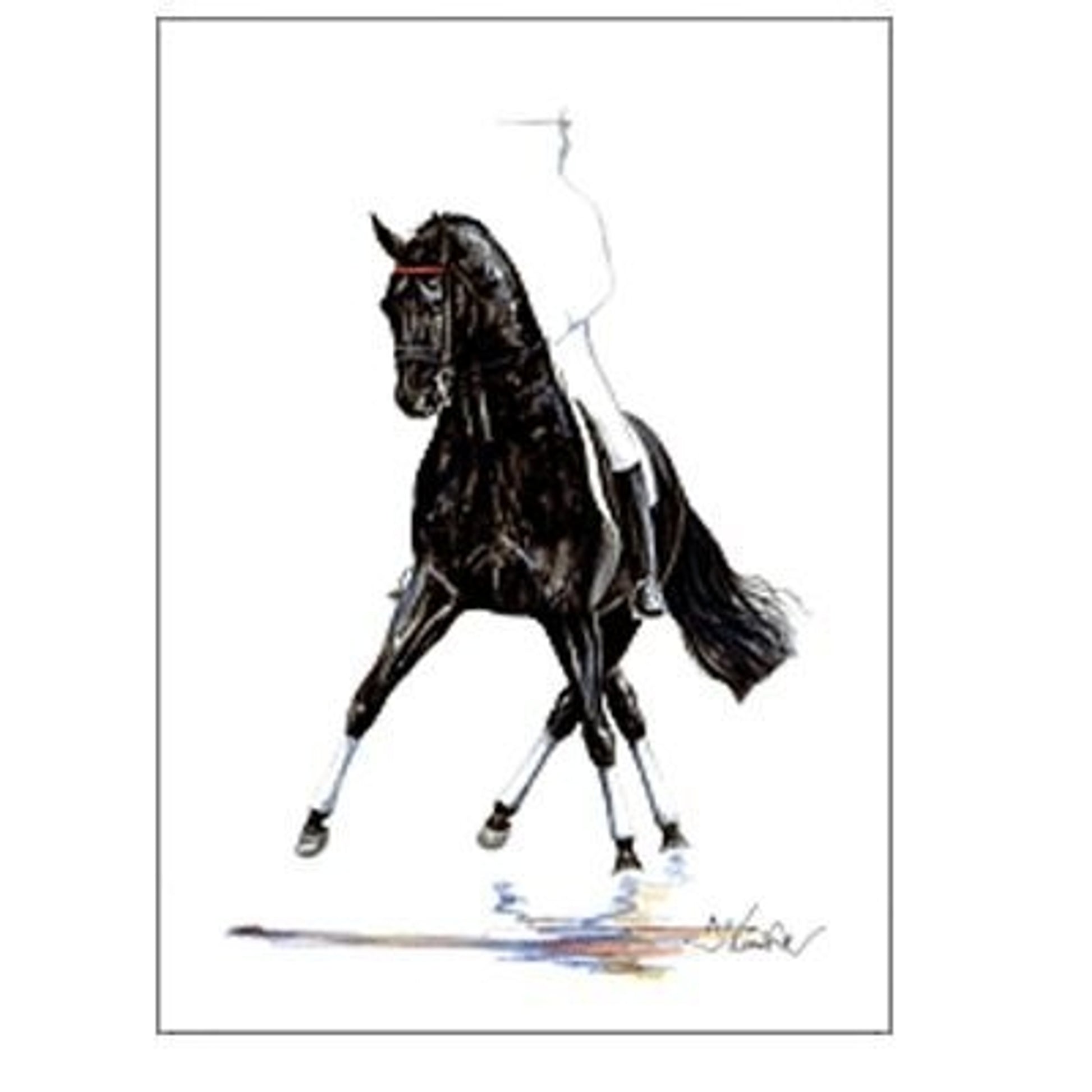 Noblesse Dressage By Jan Kunster 19.75 x 27.5