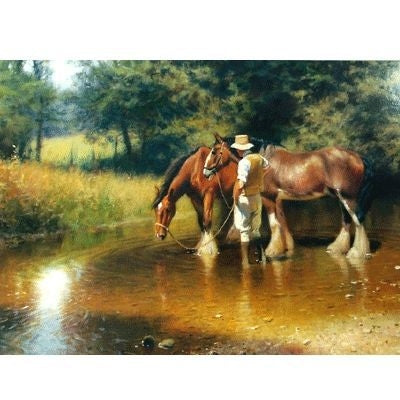 Watering Blank Greeting Cards - 6 Pack 5 x 7