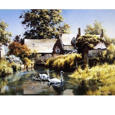Mill Swans Blank Greeting Cards - 6 Pack 5 x 7